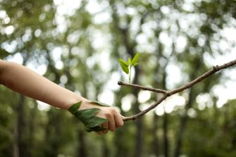 force de la nature